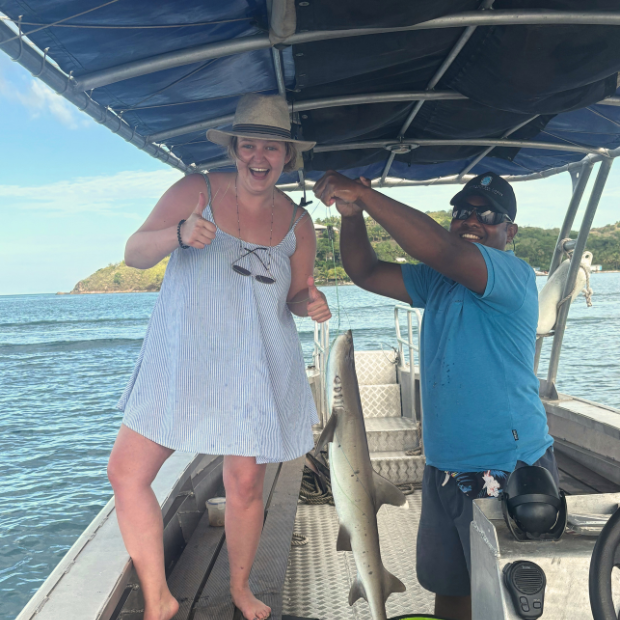 Reef shark catch